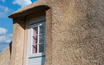 Glynn thatch roof disadvantages